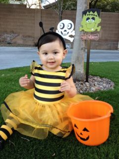 Gymboree Baby Girl Bumble Bee Costume Lot 6 12 Months Yellow Black Leggings