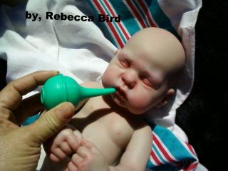 Baldy Newborn Girl Nod Has Baby Rash Anatomically Correct Full Body Reborn