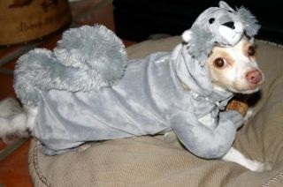 Squirrel and Lion Dog Costume Halloween Lot Plush Small
