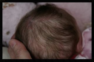 Reborn Baby Doll Sienna Leigh by Alicia Toner Innocence Loves You Nursery