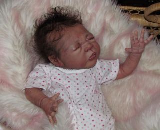 Reborn Baby Girl Preemie Willow Connor AA Ethnic Biracial Long Sold Out Le 300