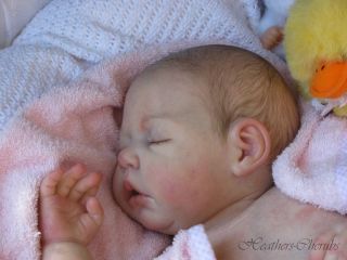Heathers Cherubs Reborn Painted Hair Baby Doll Chloe 