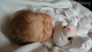 Sugarplum Nursery Reborn Realistic Lifelike Baby Girl Doll by Liz Campbell NR