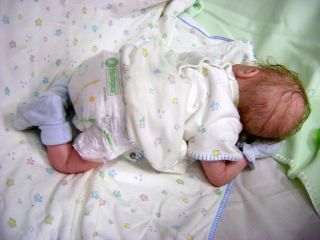 Adorable Preemie Reborn Baby Doll Boy Fern Sculpt New Release by Morgan Perez