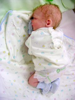 Adorable Preemie Reborn Baby Doll Boy Fern Sculpt New Release by Morgan Perez