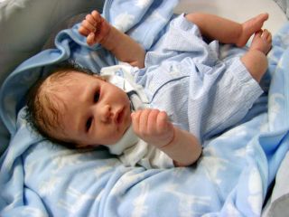 So Handsome Reborn Baby Boy Art Doll Was Charlotte Sculpt by Petra Lechner