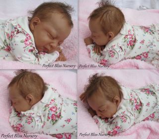 Reborn Doll Newborn Baby Girl Phil Donnelly "Brianna"