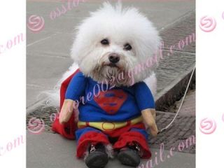 Superman Dog Pet Halloween Costume Coat Apparel Cape