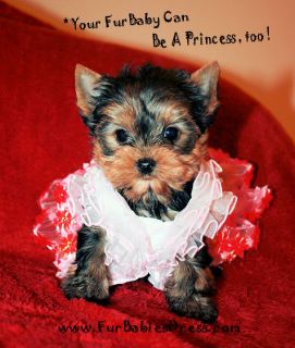 XS Redbow Flower Dress 1 Free Bow Yorkie Dog Puppy Dress Chihuahua Maltese