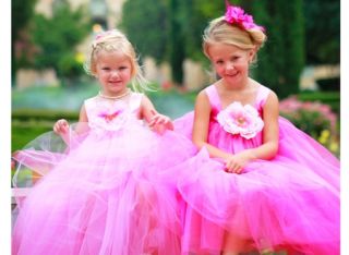Flower Girl Dress for Wedding Tutu Dress and Birthday Girl Party Costumes