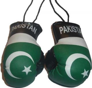 Pakistan New Mini Punch Boxing Gloves Car Mirror Mascot National Flag