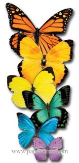 Row of Butterflies Die Cut Blank Card Greeting Card by Paper House Productions