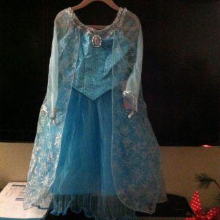Disney Parks Authentic Elsa Frozen Dress Size 4 5