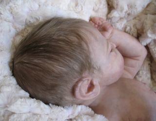 Ellis Tina Kewy Newborn Reborn Fake Baby Sold Out Le Baby Biscotti Gorgeous