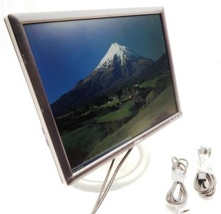 Dell UltraSharp 1905FP 19 LCD Monitor