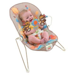 Brand New SEALED Fisher Price Baby Bouncer Fun Park
