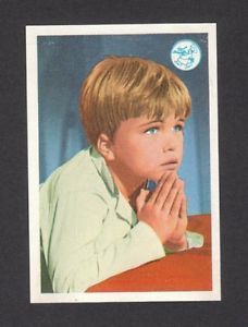 Gentle Ben Clint Howard Star Trek Vintage 1960s TV Show Card from Spain