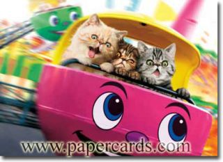 Cats on Carnival Ride Funny Birthday Card Greeting Card by Avanti Press
