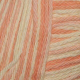 Peaches & Creme Variegated Worsted Cotton Yarn (198) Black Cherry