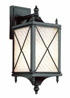 Trans Globe Lighting 5920 BK 17 Inch 1 Light Outdoor Wall Lantern, Black