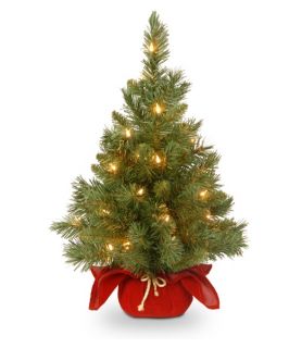 2 ft. Majestic Fir Pre Lit Tree with Burgundy Cloth Bag   Christmas Trees
