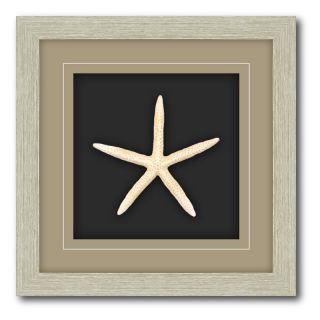 Shadow Box Frame Double Matte Mounted White Starfish with Driftwood Molding   Framed Wall Art