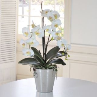 Jane Seymour White Phalaenopsis Orchid 29H in. Silk Flower Arrangement   Silk Flowers