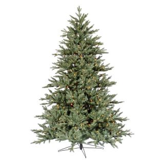 Blue Noble Fir Pre lit LED Christmas Tree   Christmas