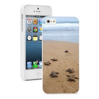 Apple iPhone 5C White 5CW184 Hard Back Case Cover Color Baby Turtles Going Towards Ocean Cell Phones & Accessories