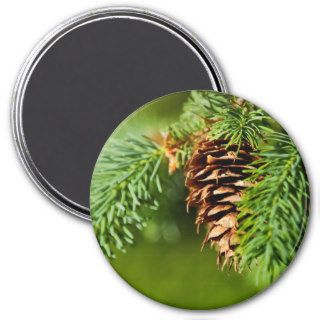 Christmas Evergreen Pine Cone Needles Tree Trees Magnets