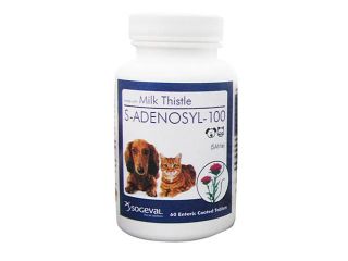 S Adenosyl 100 [SAMe] For Small Dogs and Cats, 30 Tablets