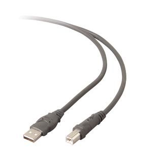 Belkin  USB A/B Device Cable, 10 ft.