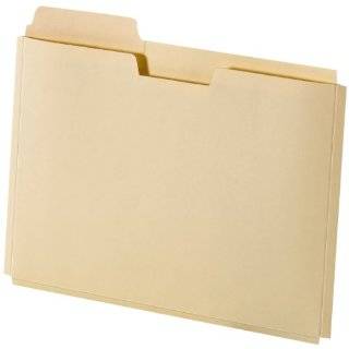   Expanding File Folder Pocket, Letter, Manila , 10 File Folder Pockets