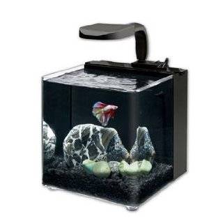 Aqueon Evolve 2 LED Aquarium Kit, 2 gallons