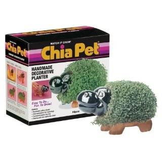 CHIA Pet, Turtle, 1 ea