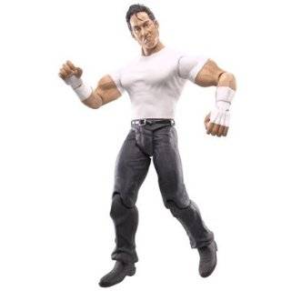 WWE Wrestling Action Figure PPV Pay Per View Series 16 Vengeance Deuce
